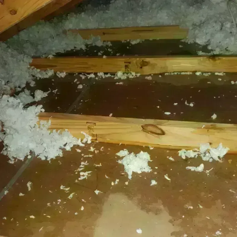 Attic Water Damage in Leonia, NJ